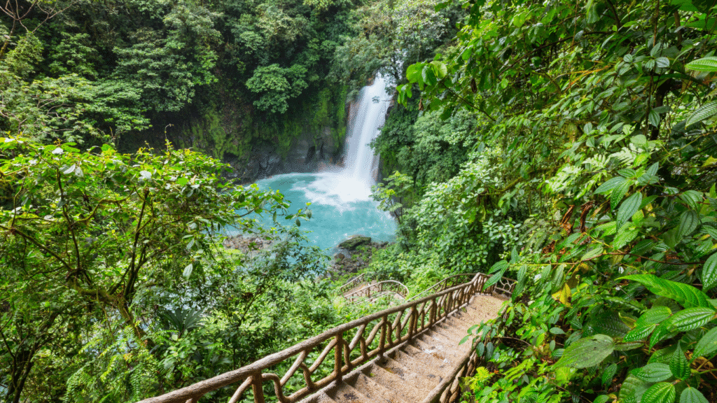 cascade magnifique au milieu de la jungle au costa rica