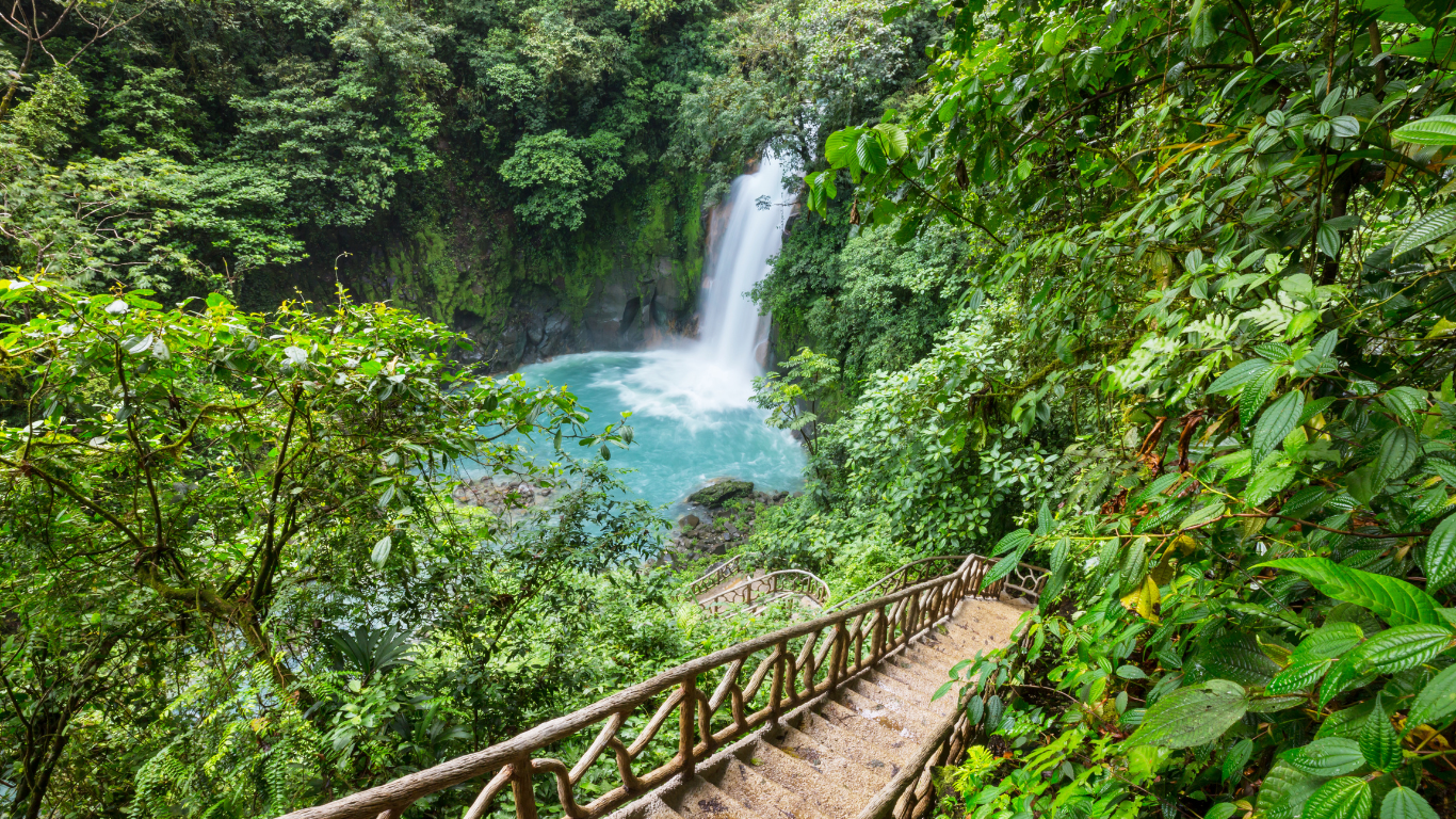 cascade magnifique au milieu de la jungle au costa rica