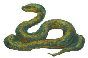 image d'un serpent