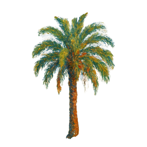 image d'un palmier
